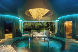 The-Rainforest-v478g9.jpg